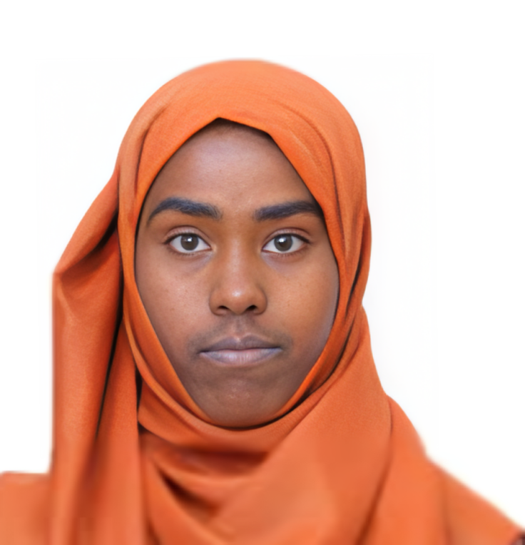 صورة الوجه