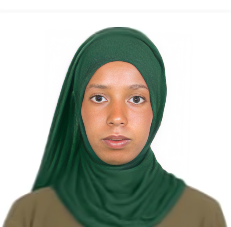 صورة الوجه