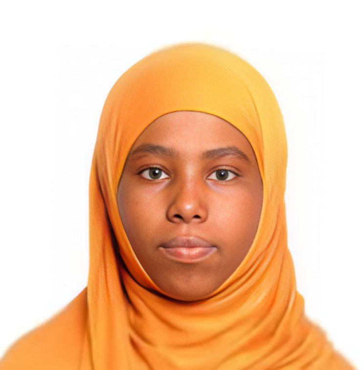 صورة الوجه