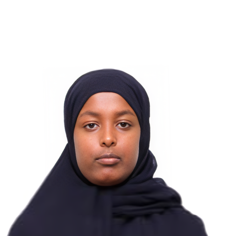 صورة الوجه